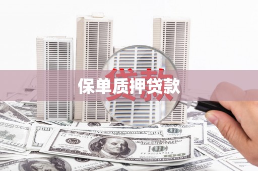 安远保单质押贷款