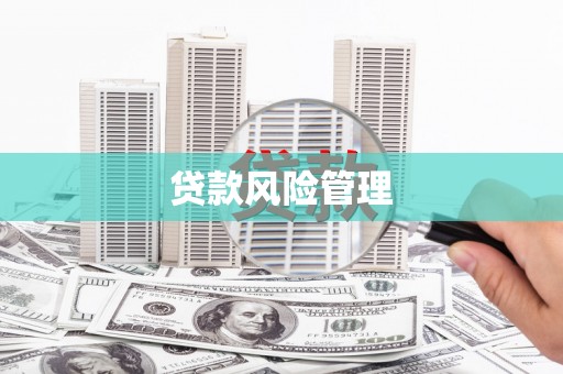 安远贷款风险管理