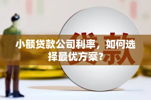 安远小额贷款公司利率，如何选择最优方案？