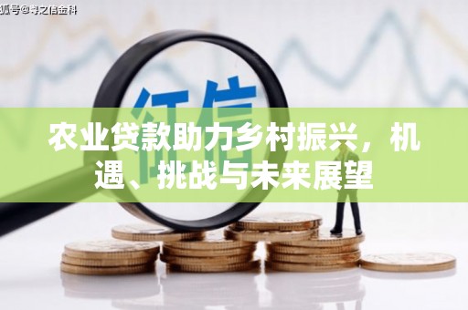 安远农业贷款助力乡村振兴，机遇、挑战与未来展望