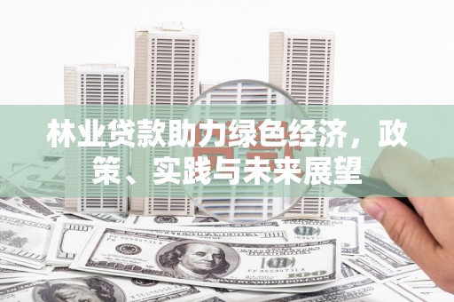 安远林业贷款助力绿色经济，政策、实践与未来展望
