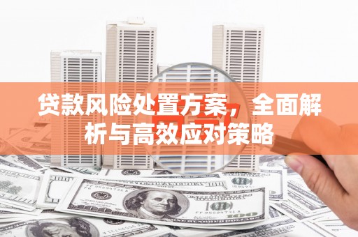 安远贷款风险处置方案，全面解析与高效应对策略