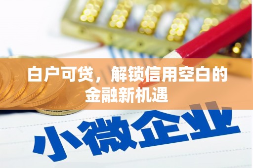安远白户可贷，解锁信用空白的金融新机遇