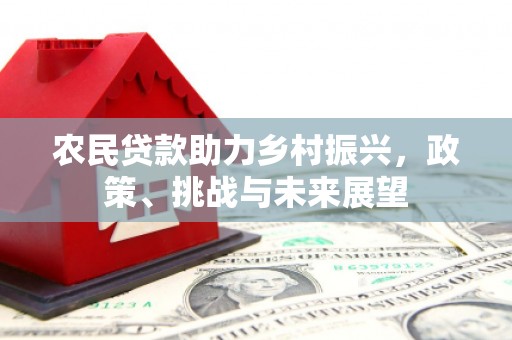 安远农民贷款助力乡村振兴，政策、挑战与未来展望