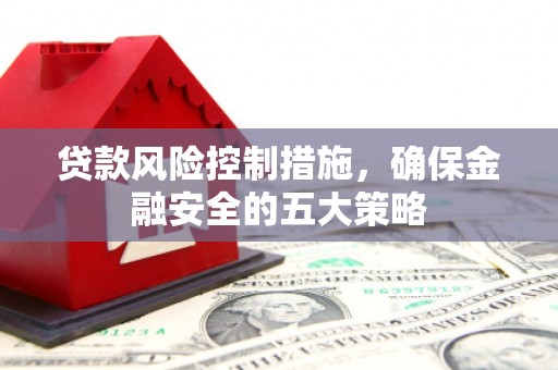 安远贷款风险控制措施，确保金融安全的五大策略