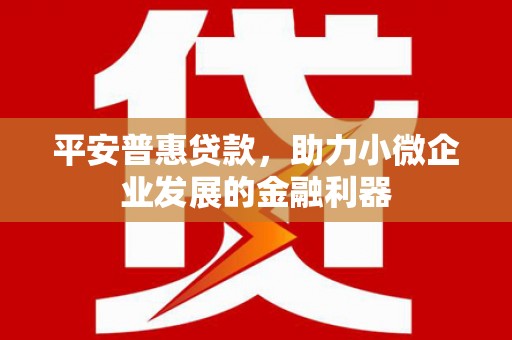 安远平安普惠贷款，助力小微企业发展的金融利器
