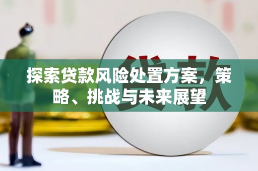 安远探索贷款风险处置方案，策略、挑战与未来展望
