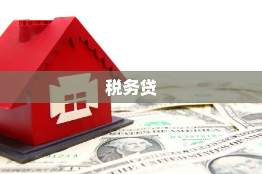 安远税务贷