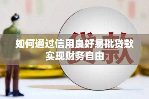 安远如何通过信用良好易批贷款实现财务自由