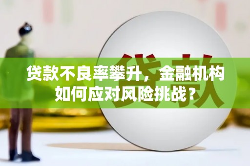 安远贷款不良率攀升，金融机构如何应对风险挑战？