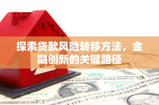 安远探索贷款风险转移方法，金融创新的关键路径
