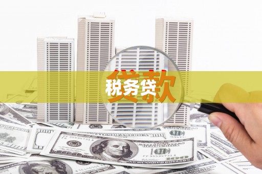 安远税务贷