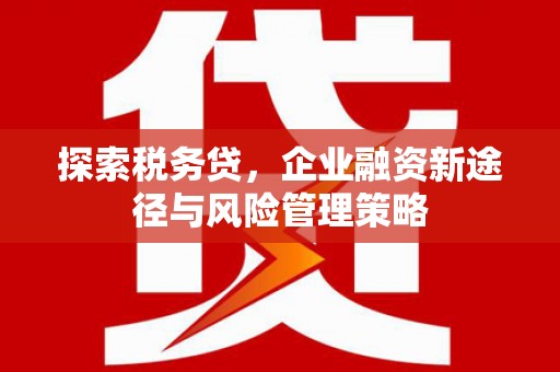 安远探索税务贷，企业融资新途径与风险管理策略