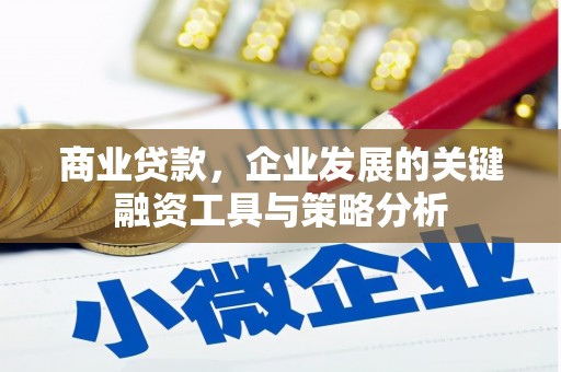 安远商业贷款，企业发展的关键融资工具与策略分析