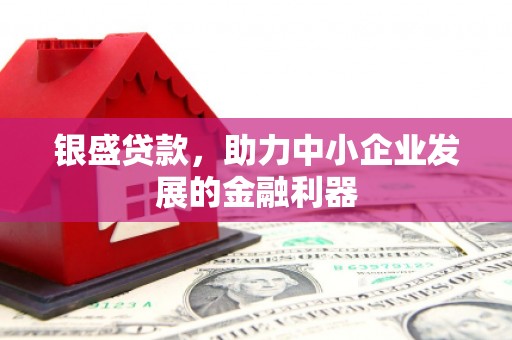 安远银盛贷款，助力中小企业发展的金融利器