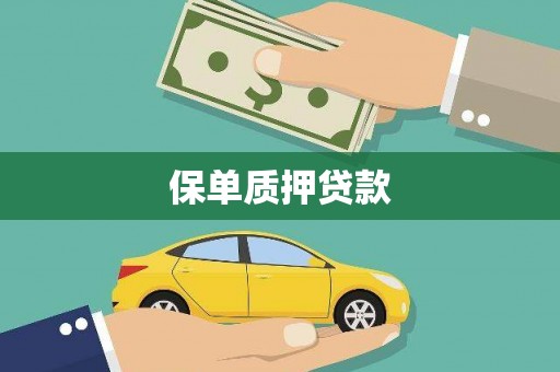 安远保单质押贷款