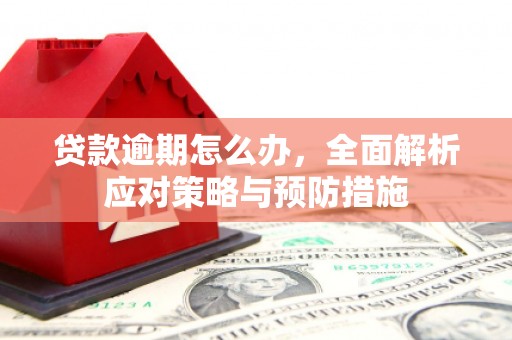 安远贷款逾期怎么办，全面解析应对策略与预防措施