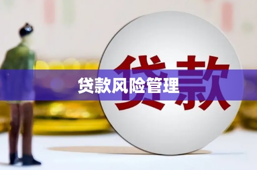 安远贷款风险管理