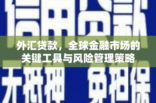 安远外汇贷款，全球金融市场的关键工具与风险管理策略