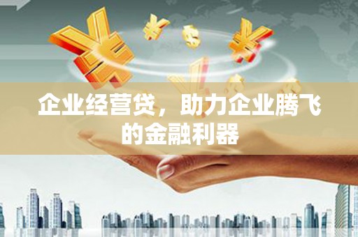 安远企业经营贷，助力企业腾飞的金融利器