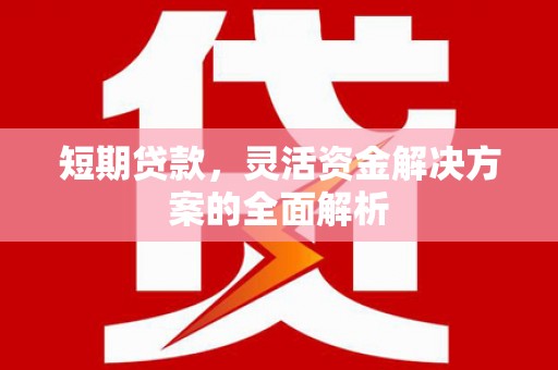 安远短期贷款，灵活资金解决方案的全面解析