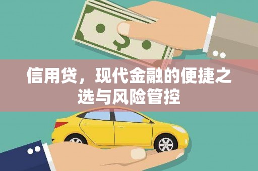 安远信用贷，现代金融的便捷之选与风险管控