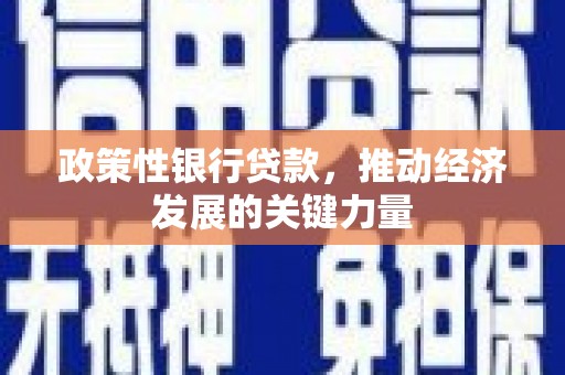 安远政策性银行贷款，推动经济发展的关键力量