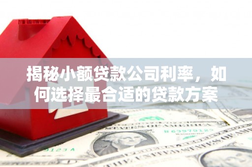 安远揭秘小额贷款公司利率，如何选择最合适的贷款方案