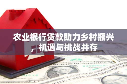 安远农业银行贷款助力乡村振兴，机遇与挑战并存