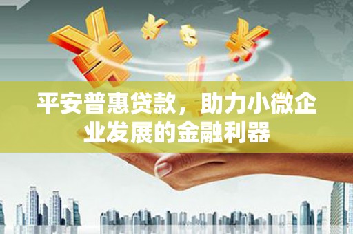 安远平安普惠贷款，助力小微企业发展的金融利器