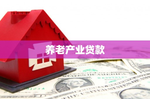 安远养老产业贷款
