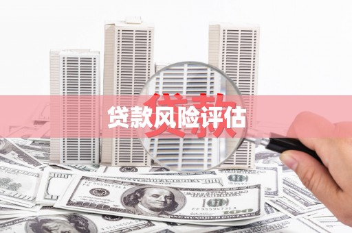 安远贷款风险评估