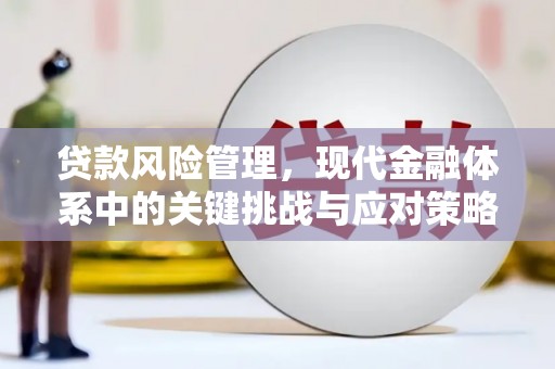 安远贷款风险管理，现代金融体系中的关键挑战与应对策略