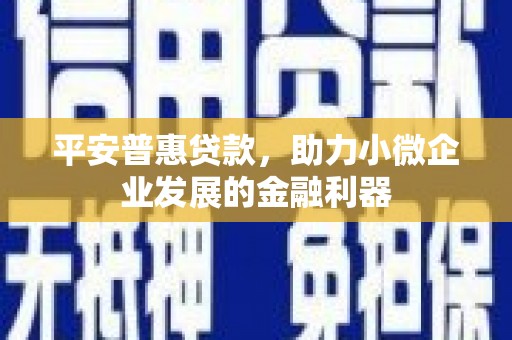 安远平安普惠贷款，助力小微企业发展的金融利器