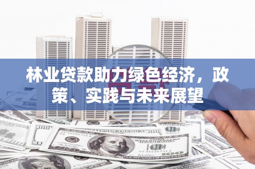 安远林业贷款助力绿色经济，政策、实践与未来展望
