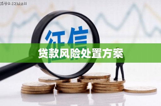 安远贷款风险处置方案