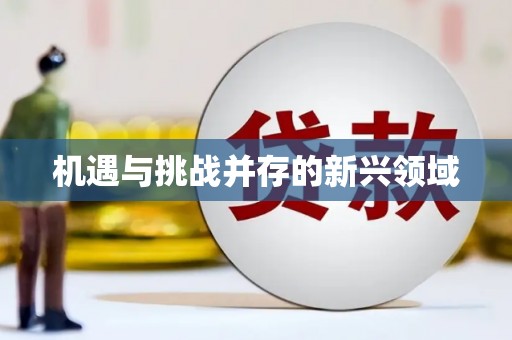 安远机遇与挑战并存的新兴领域