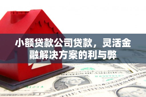 安远小额贷款公司贷款，灵活金融解决方案的利与弊