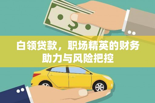 安远白领贷款，职场精英的财务助力与风险把控